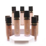 Orvyn All Day Wear Long Lasting Concealer